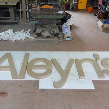 Alleyns model